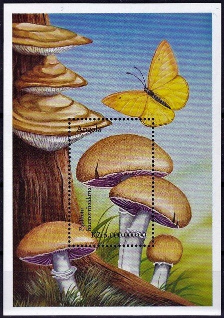 King Carlos I of Portugal (1863-1908)