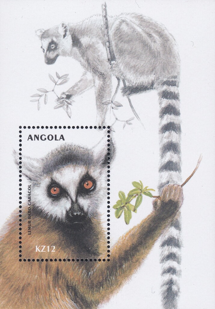 Black-naped oriole (Oriolus chinensis)