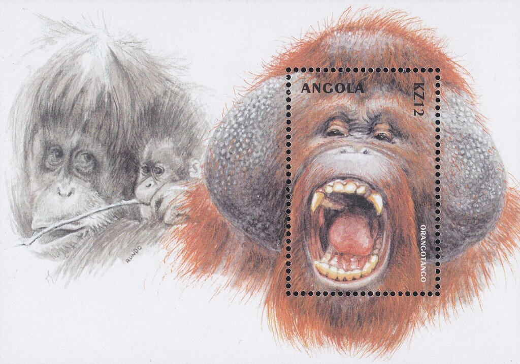 Countdown to the Millennium 1970-1979