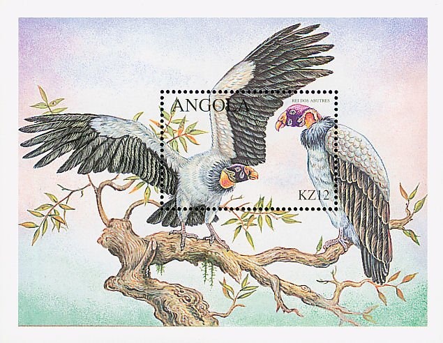 Kung People of Angola