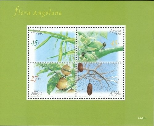 Klaas's Cuckoo (Chrysococcyx klaas)