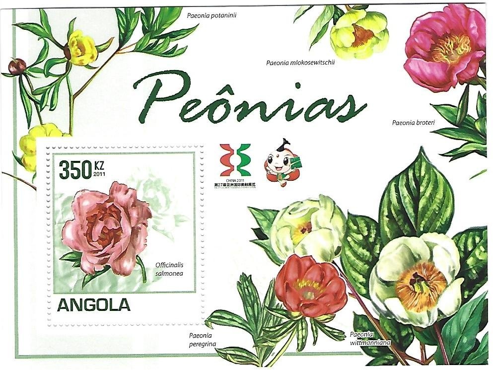 Suspension of Sport Pandemic COVID-19