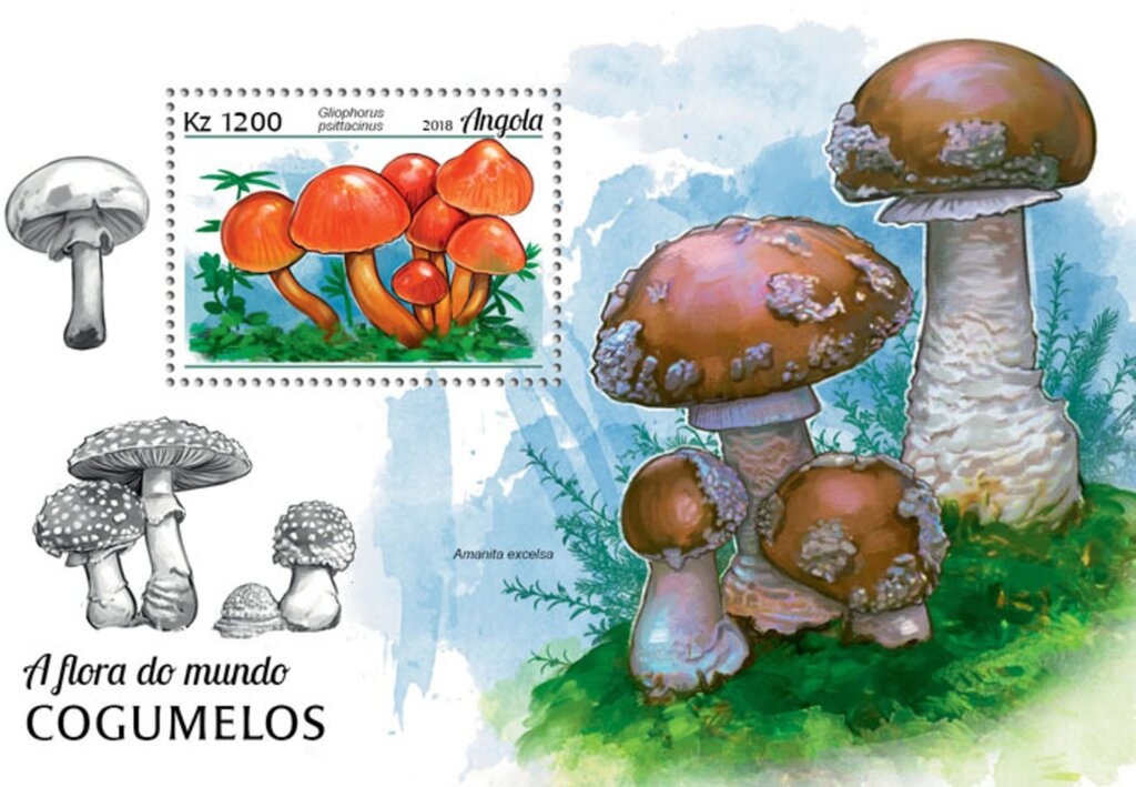 'The Crucifixion' (Andrea deal Castagno)