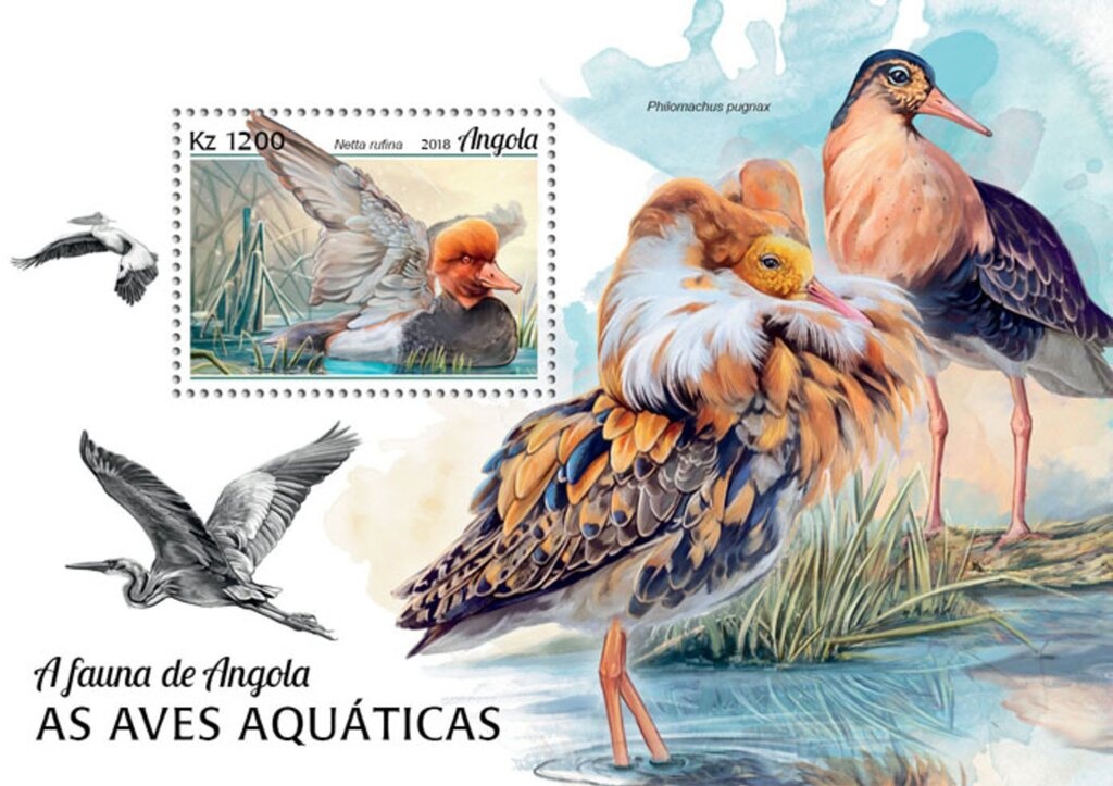 Flora and Fauna Yellow Billed Stork (Mycteria ibis) Overprnt