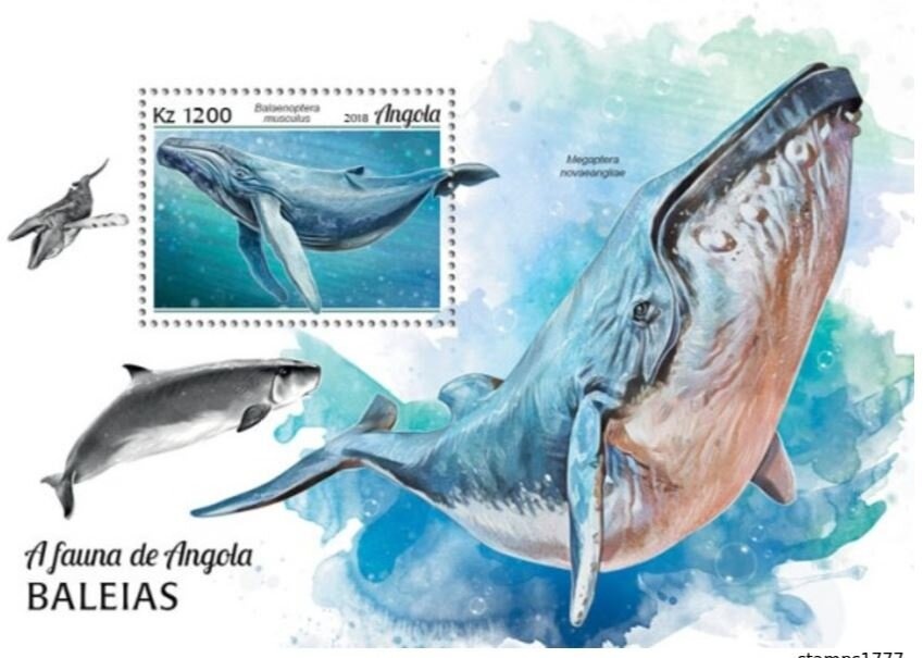 Caribbean Spiny Lobster (Panulirus argus) - Overprinted