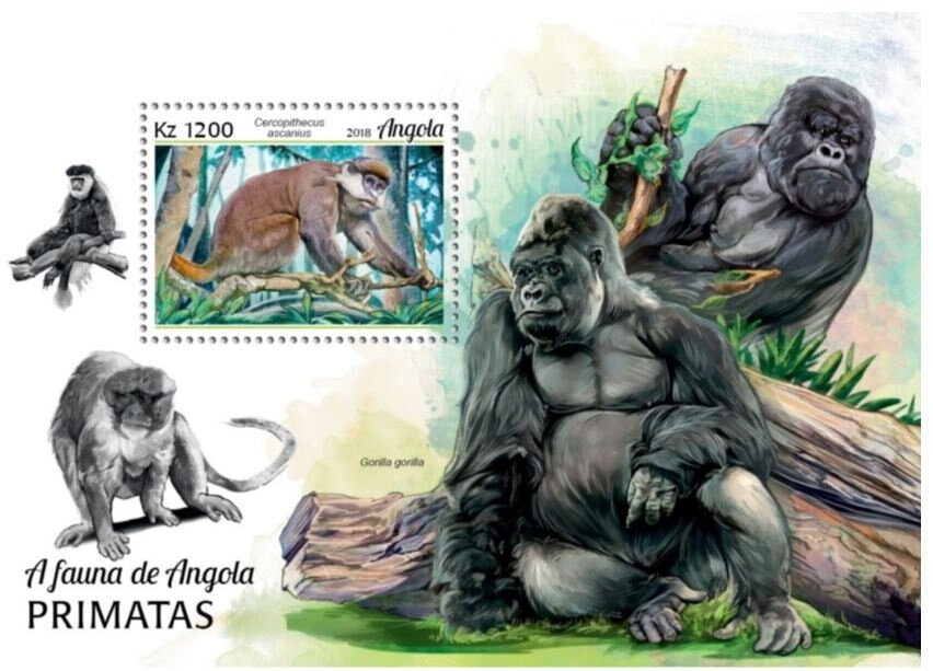 Medicinal Plants - 92 Lubrapex