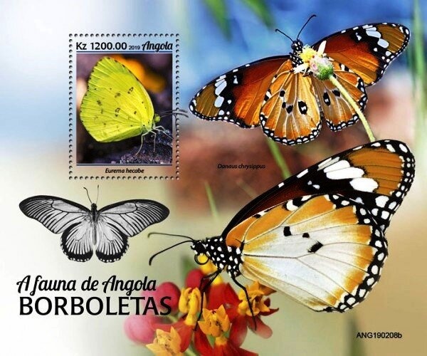 Silver-studded Blue (Plebejus argus)