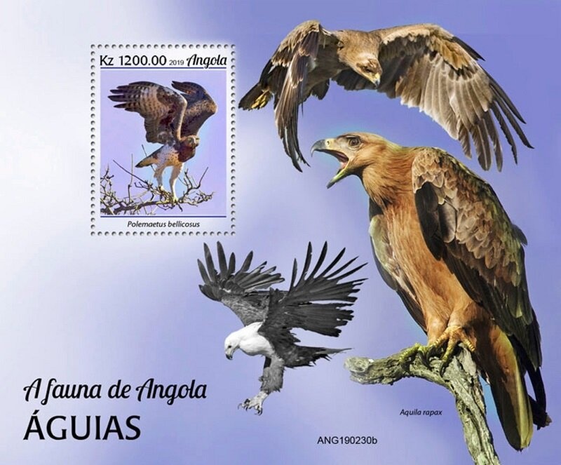 Ambulance Dodge WC54