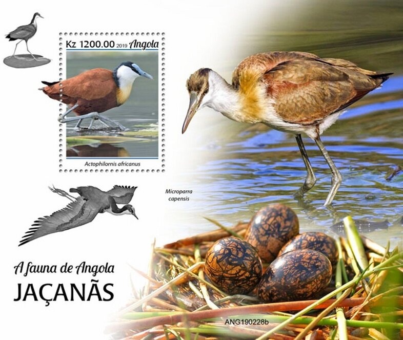 Global Campaign against Mines