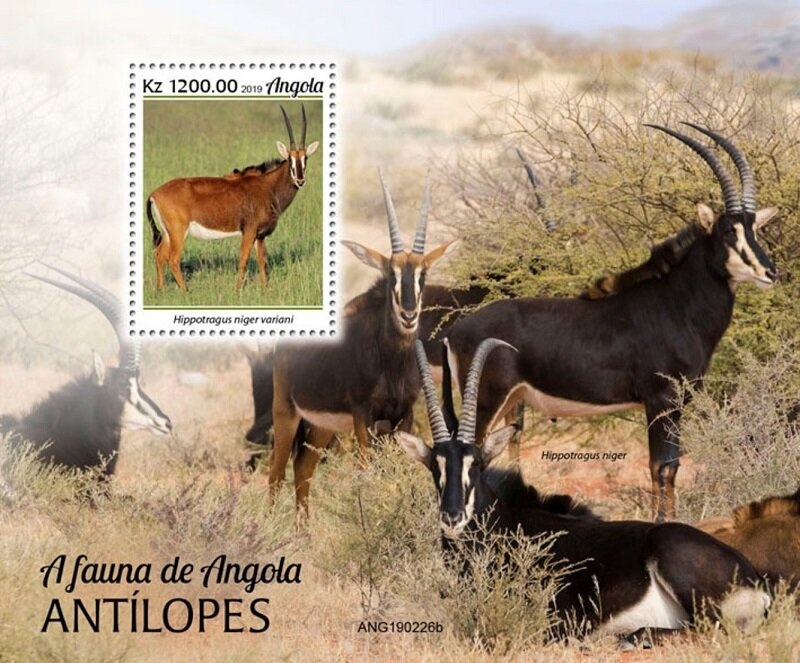 1st Anniversary of the GURN