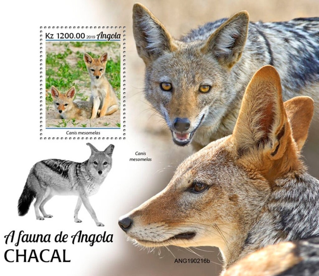 Flag of Botswana & Equus quagga