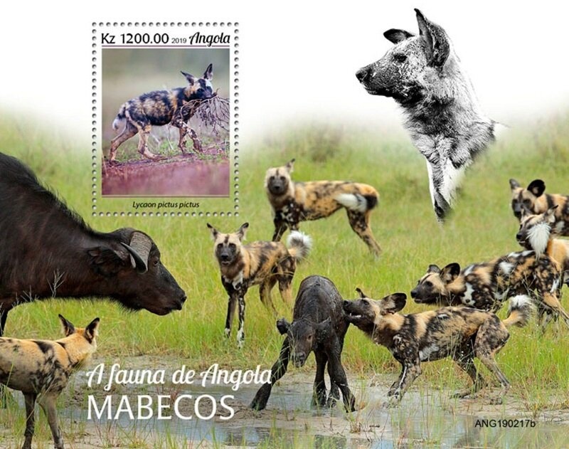 Queen Elizabeth II Golden Jubilee