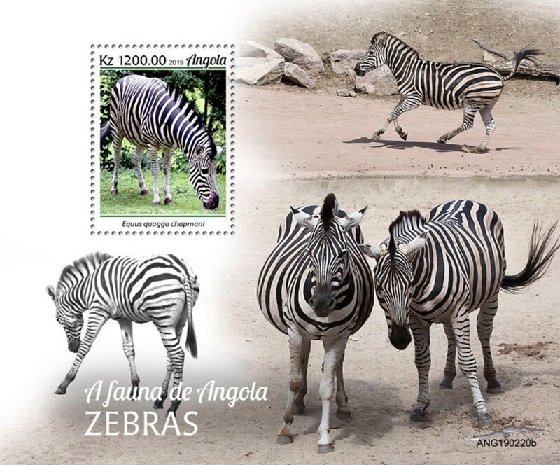 Music of the 20th Century