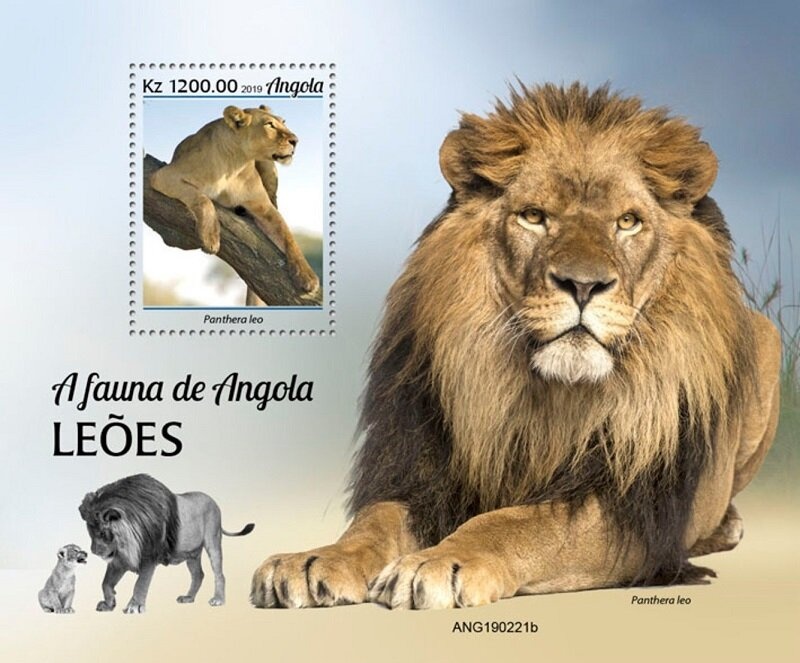 Psalliota xanthoderma