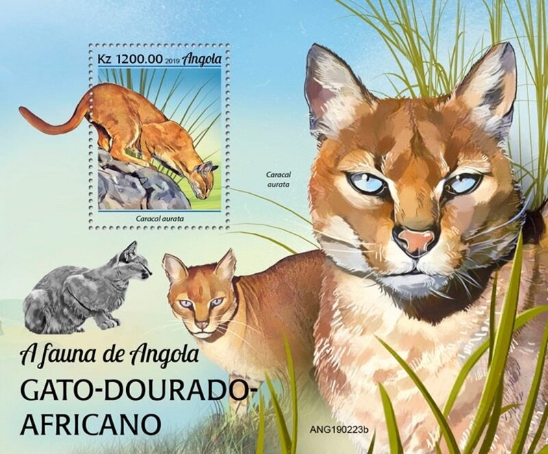 Ornithomimus and Barite