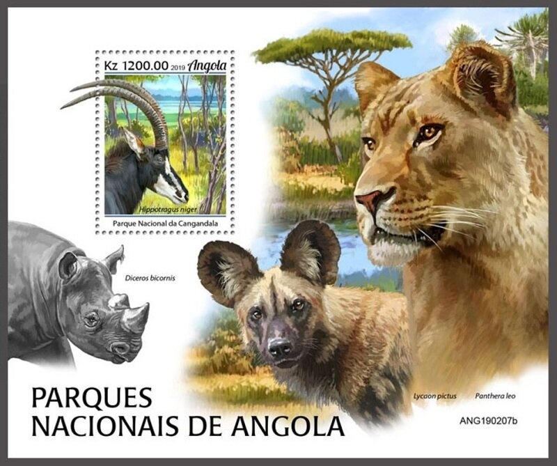 Brown-throated Three-toed Sloth (Bradypus variegatus)