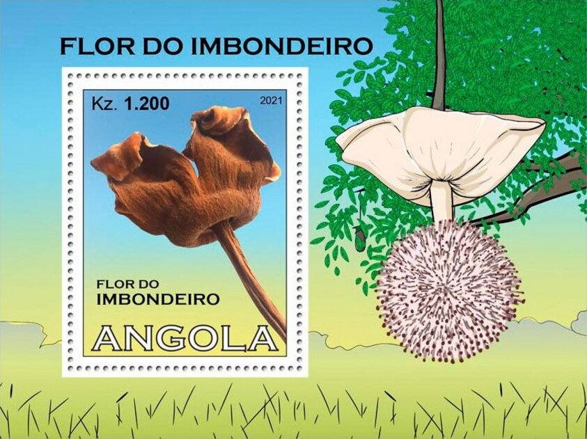 Hatzegopteryx thambema and Quartz