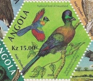 Lesser Blue Charaxes (Charaxes numenes)