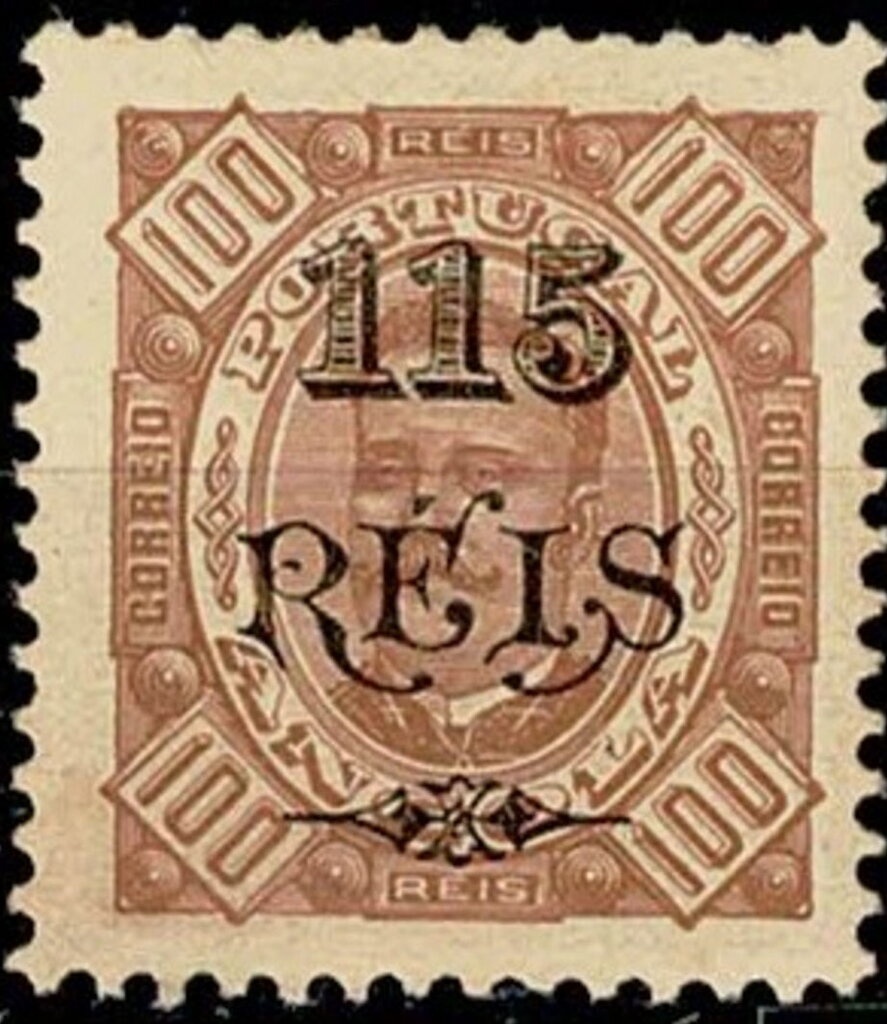 Angolan Hairy Bat (Cistugo seabrae)