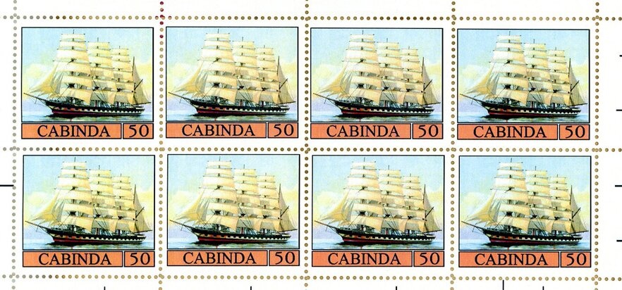 Mangroves at the banks of Rio Chiloango