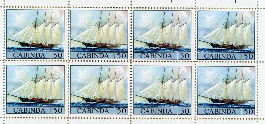 Piping Hornbill (Bycanistes fistulator)