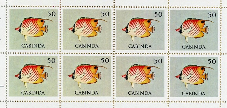 Mahatma Gandhi (1869-1948)