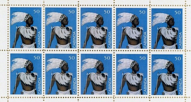 Killer Whale (Orcinus orca)