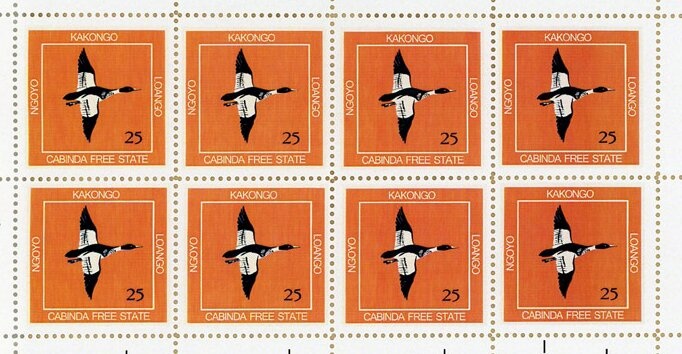 African Golden Cat (Caracal aurata)