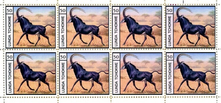 Soviet Space Flights