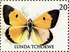 Salute to the 20th Century Elvis Presley