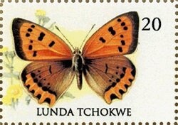 Paintings by Hieronymus Bosch