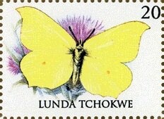 World Cup Football Soccer in 2002