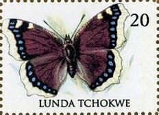 Millennium 2000 Cinema/Concorde/Space/Polar