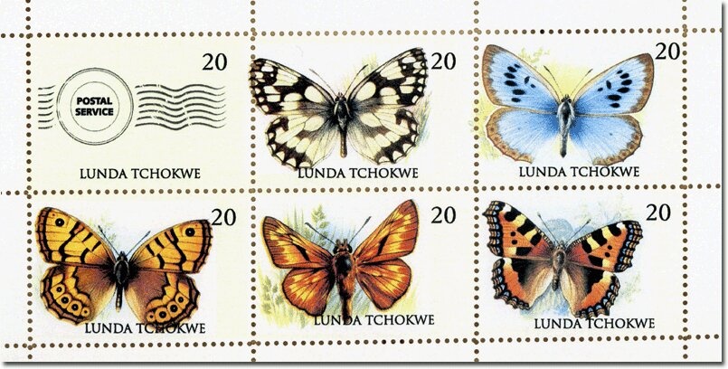 Bat-eared fox (Otocyon megalotis)