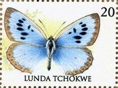 Paintings by Michelangelo Buonarroti