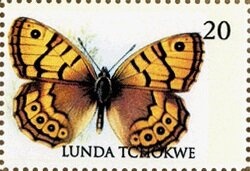 Aleunia Aurantia Silver Overprint