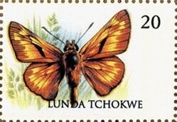 Humpback Whale (Megaptera novaeangliae)