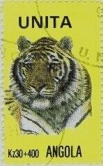 Arthur Ashkin & Gérard A. Mourou & Donna t. Strickland