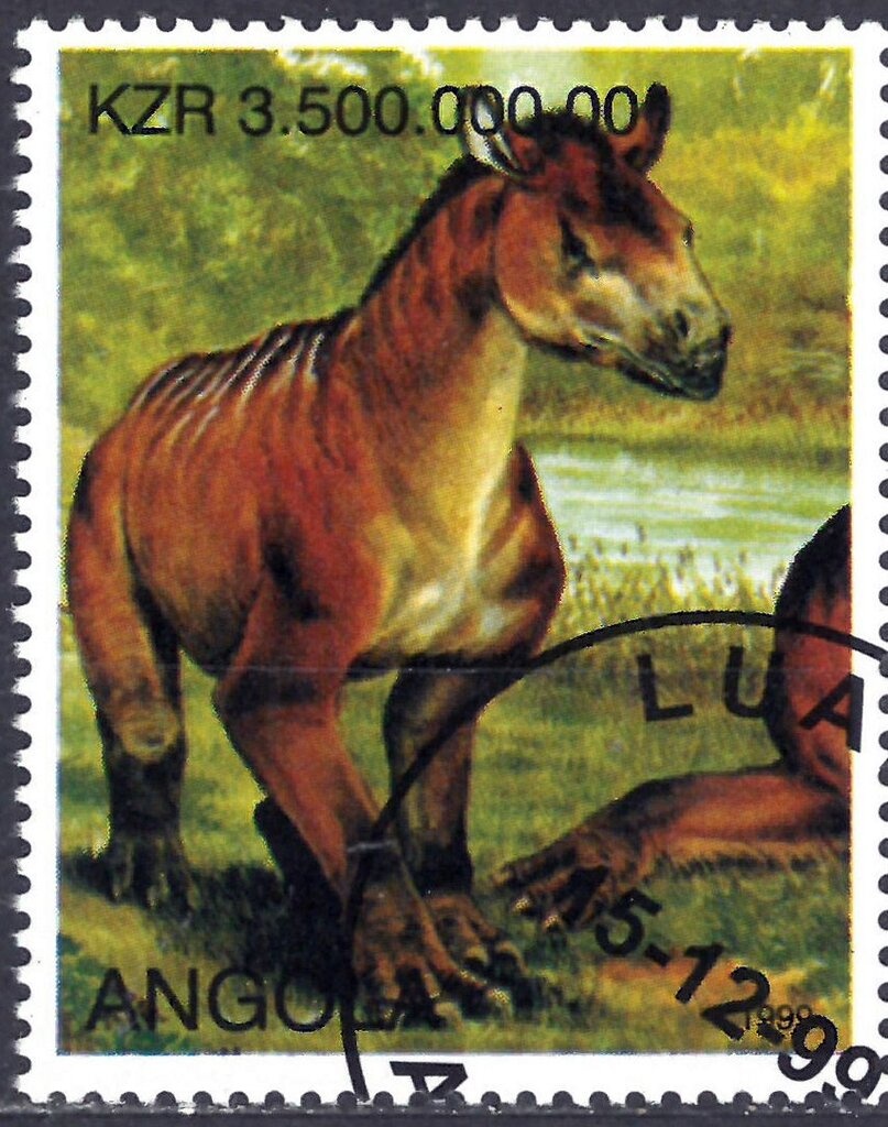 Legend "TAXE PERÇUE/TAXA COBRADA"