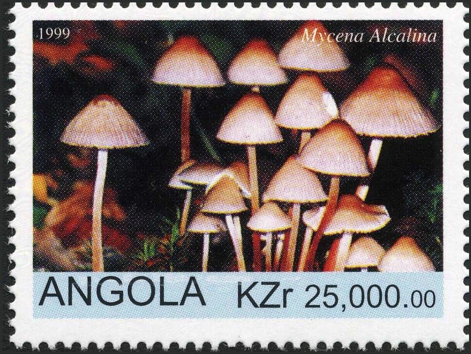 King Carlos I of Portugal (1863-1908)