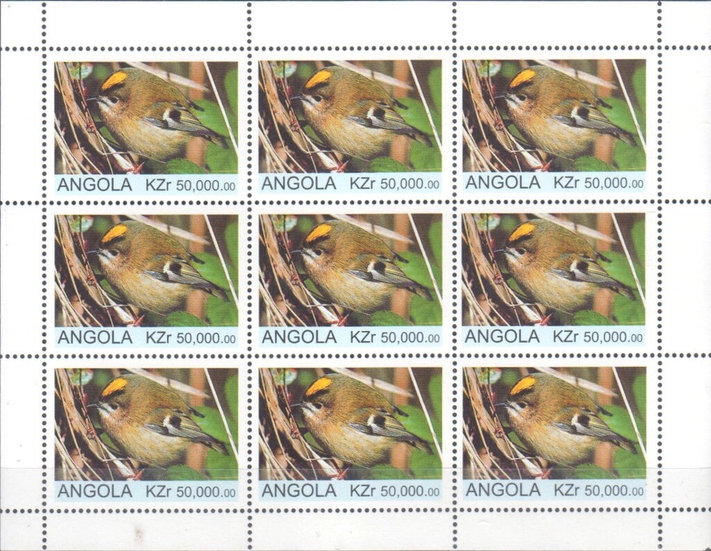 Suspension of Sport Pandemic COVID-19