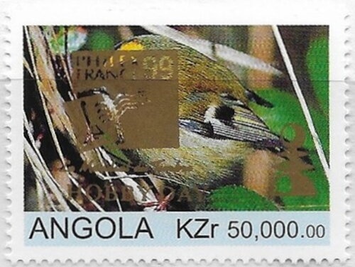 African Wild Dog (Lycaon pictus)