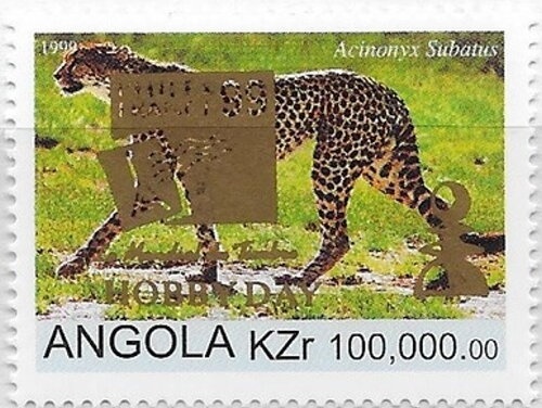 Apple Green Swallowtail (Papilio phorcas congoanus)