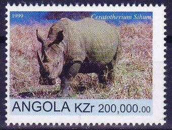 Crested Barbet (Trachyphonus vaillantii)