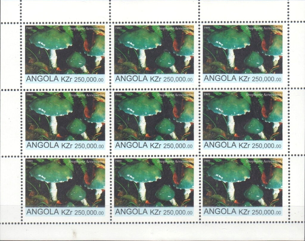 Spinner Dolphin (Stenella longirostris)