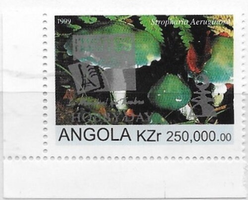 Afro-Australian Fur Seal (Arctocephalus pusillus)