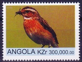 Welwitschia Mirabilis