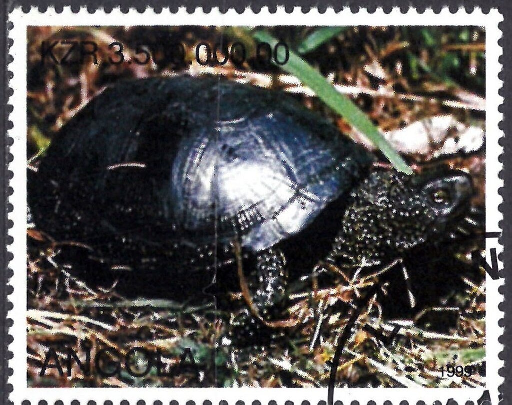 Ornated water jars from Cabinda and Luvale