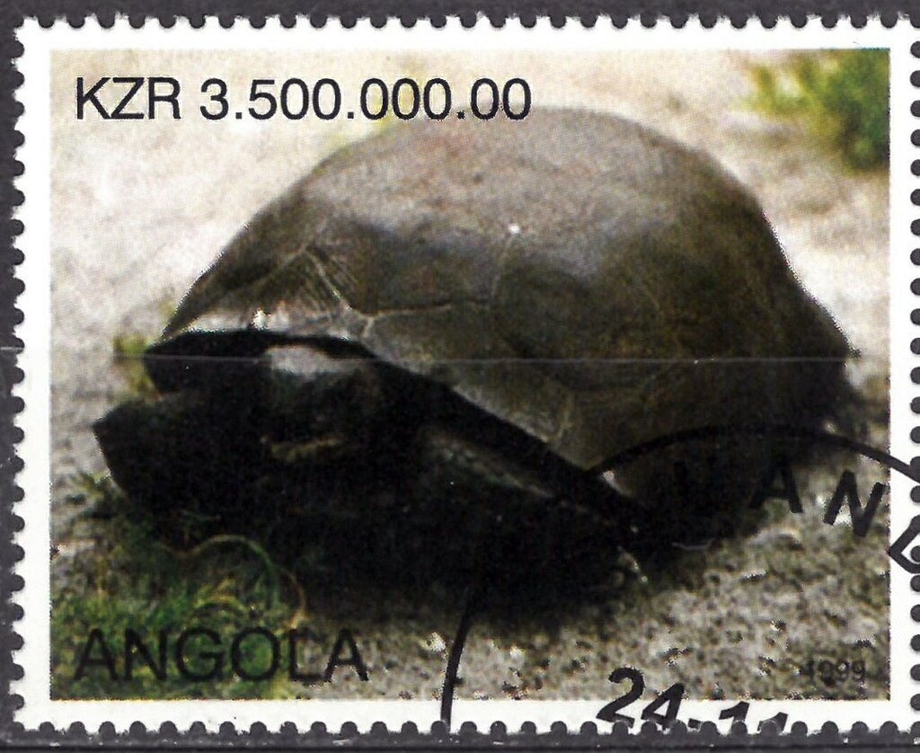 Bagging Lobster, Island Harbour - Overprinted