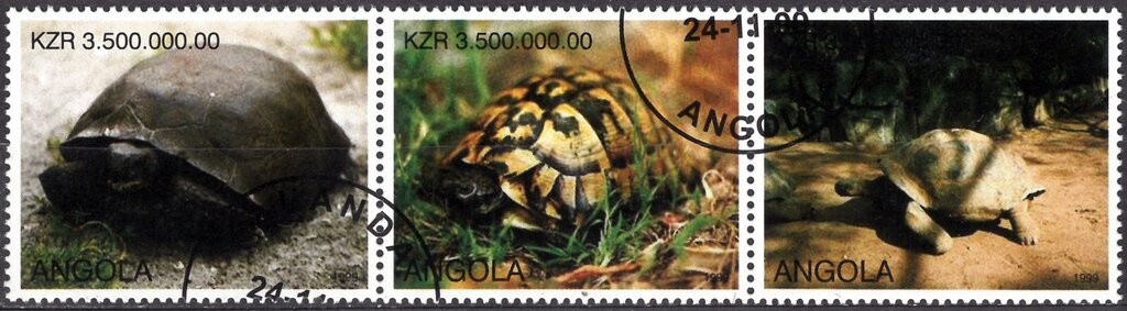 Jonas Savimbi and Flag